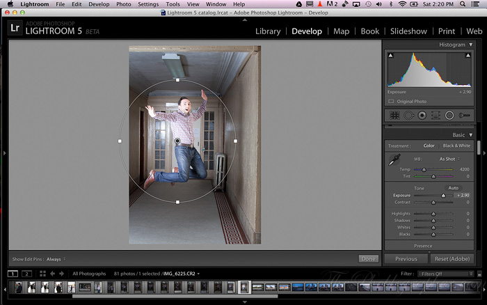 Radial Gradient Lightroom 5