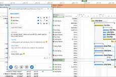 Project профессиональный 2013. Взаимодействие в режиме реального времени